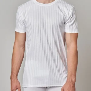 530-281 Maglia uomo manica corta girocollo