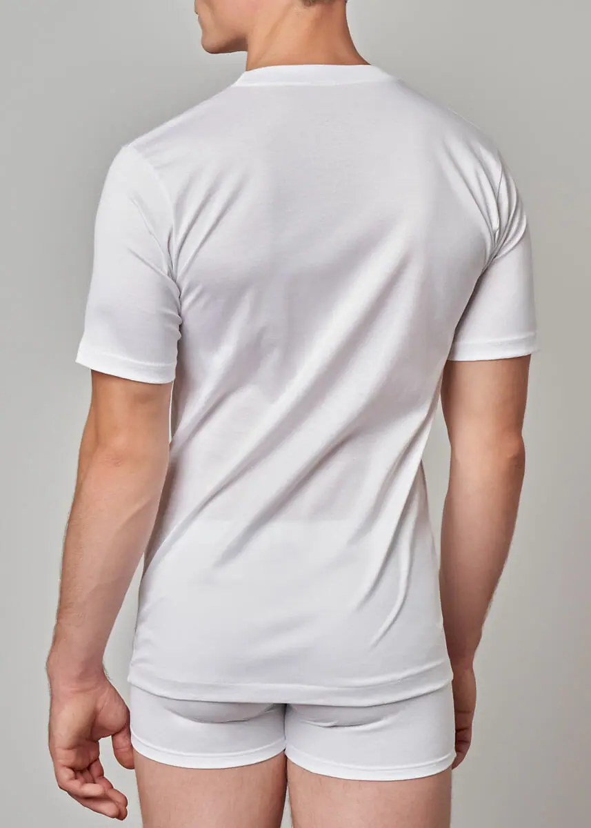 658 – 261 Maglia uomo manica corta scollo fruit - immagine 4