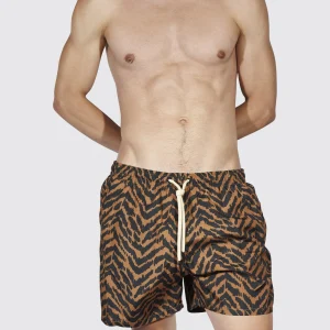 Costume MATINEE boxer medio Alexandre Tigre