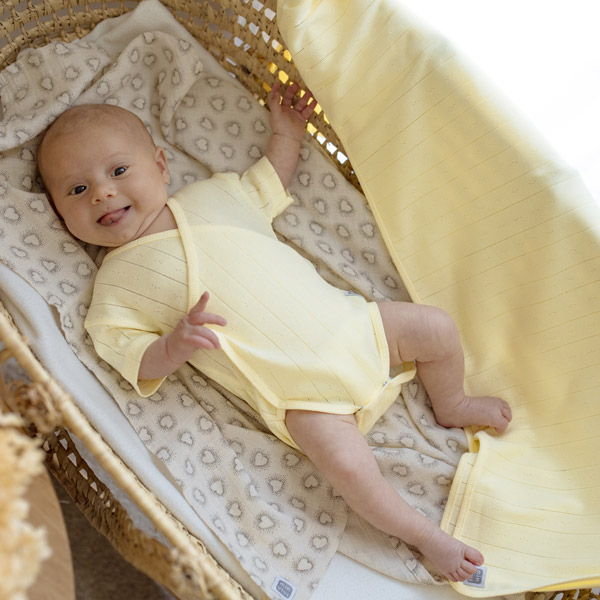 Body incrociato a maniche corte in maglia traforato 100% cotone neonato - immagine 3